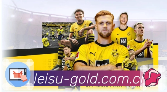 抖森赛前为阿森纳鼓舞士气